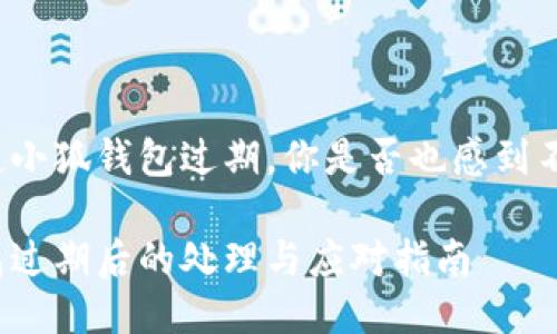 每當(dāng)提起小狐錢(qián)包過(guò)期，你是否也感到不知所措？

小狐錢(qián)包過(guò)期后的處理與應(yīng)對(duì)指南