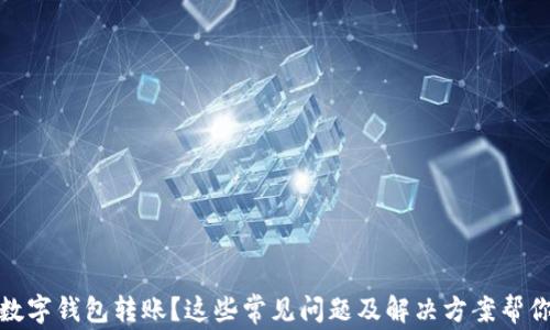 
沒有收到數(shù)字錢包轉(zhuǎn)賬？這些常見問題及解決方案幫你找回資金