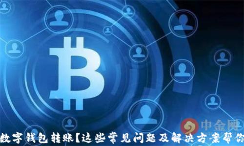 
沒有收到數(shù)字錢包轉(zhuǎn)賬？這些常見問題及解決方案幫你找回資金