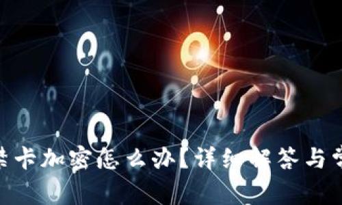 vivo錢包門禁卡加密怎么辦？詳細(xì)解答與常見問(wèn)題解析