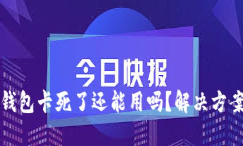 小狐錢包卡死了還能用嗎？解決方案詳解