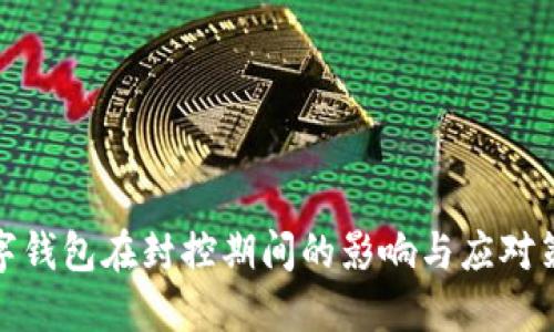 數(shù)字錢(qián)包在封控期間的影響與應(yīng)對(duì)策略