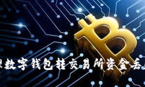 如何處理數(shù)字錢包轉(zhuǎn)交易所資金丟失的問(wèn)題