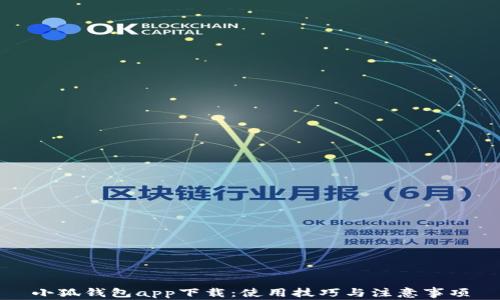 
小狐錢(qián)包app下載：使用技巧與注意事項(xiàng)