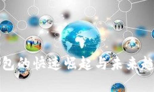 數(shù)字錢包的快速崛起與未來趨勢(shì)分析