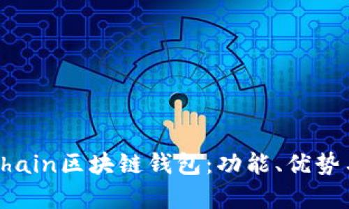 全面解析Chain區(qū)塊鏈錢包：功能、優(yōu)勢與應(yīng)用場景