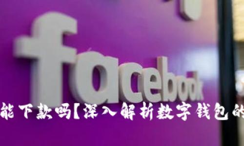 數(shù)字錢包還能下款嗎？深入解析數(shù)字錢包的現(xiàn)狀與未來