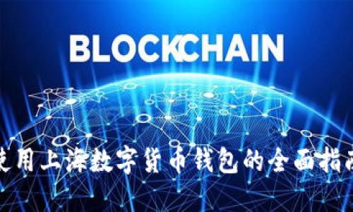 使用上海數(shù)字貨幣錢包的全面指南