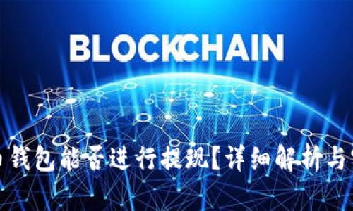 加密貨幣錢(qián)包能否進(jìn)行提現(xiàn)？詳細(xì)解析與實(shí)用指南