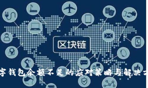 數(shù)字錢包余額不足的應(yīng)對策略與解決方案