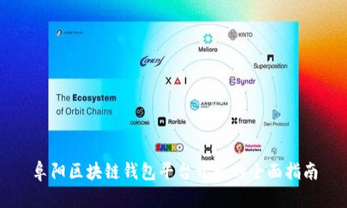 阜陽(yáng)區(qū)塊鏈錢包平臺(tái)開發(fā)的全面指南