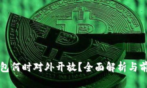 數(shù)字錢包何時(shí)對外開放？全面解析與前景展望