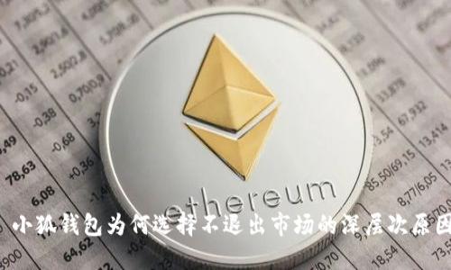  小狐錢(qián)包為何選擇不退出市場(chǎng)的深層次原因
