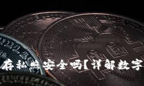 小狐錢包保存私照安全嗎？詳解數(shù)字資產(chǎn)安全性