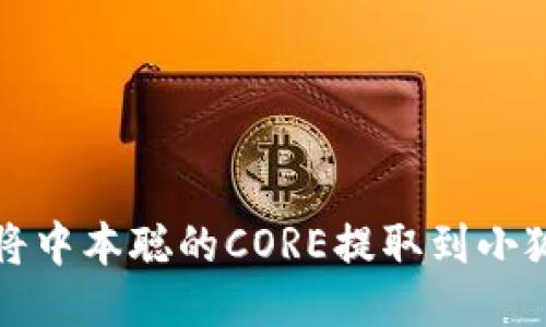 如何將中本聰?shù)腃ORE提取到小狐錢包