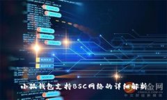 小狐錢包支持BSC網(wǎng)絡(luò)的詳