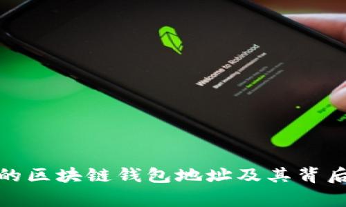 最有錢的區(qū)塊鏈錢包地址及其背后的故事
