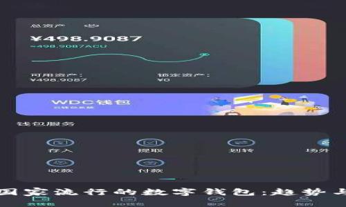 南美國家流行的數(shù)字錢包：趨勢與選擇