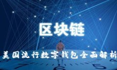 美國流行數(shù)字錢包全面解