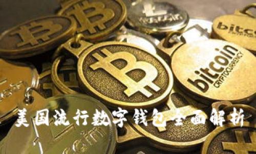 美國流行數(shù)字錢包全面解析