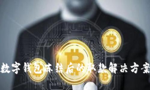 數(shù)字錢包凍結(jié)后的取款解決方案