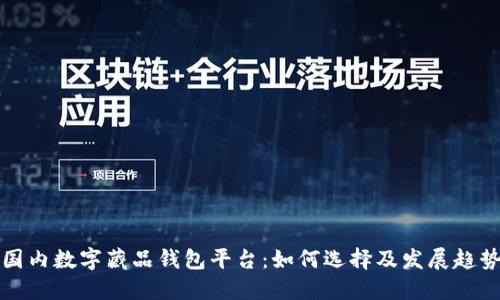 國(guó)內(nèi)數(shù)字藏品錢(qián)包平臺(tái)：如何選擇及發(fā)展趨勢(shì)