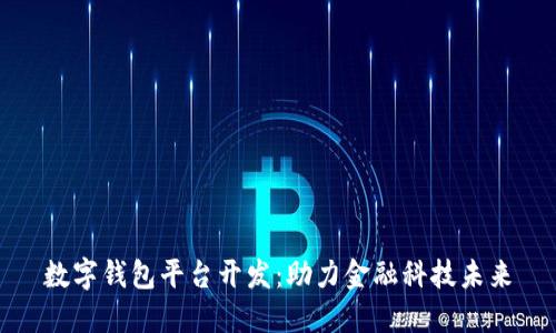 數(shù)字錢包平臺(tái)開發(fā)：助力金融科技未來(lái)