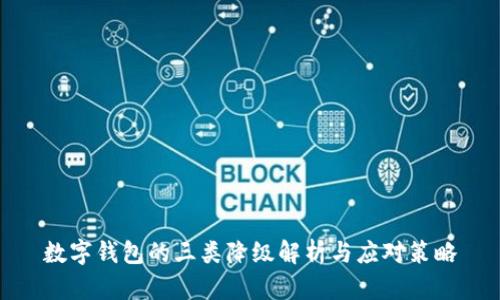 數(shù)字錢包的三類降級解析與應對策略