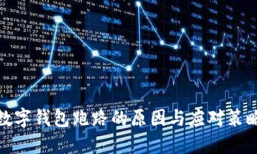 數(shù)字錢包跑路的原因與應(yīng)對策略