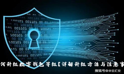 如何升級(jí)數(shù)字錢包等級(jí)？詳解升級(jí)方法與注意事項(xiàng)