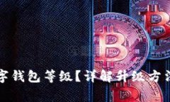 如何升級數(shù)字錢包等級？