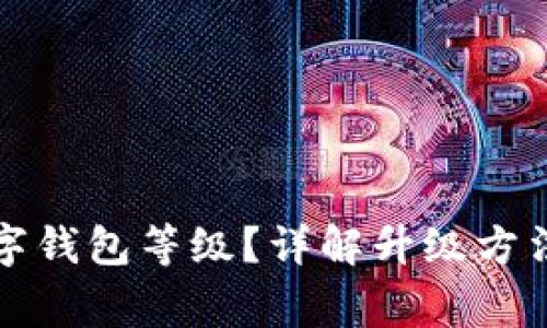 如何升級(jí)數(shù)字錢包等級(jí)？詳解升級(jí)方法與注意事項(xiàng)