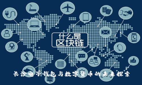 長沙電子錢包與數(shù)字貨幣的未來探索