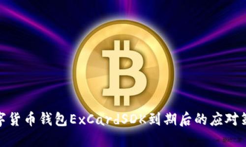 數(shù)字貨幣錢(qián)包ExCardSDK到期后的應(yīng)對(duì)策略