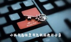 小狐錢包恢復(fù)錢包視頻教