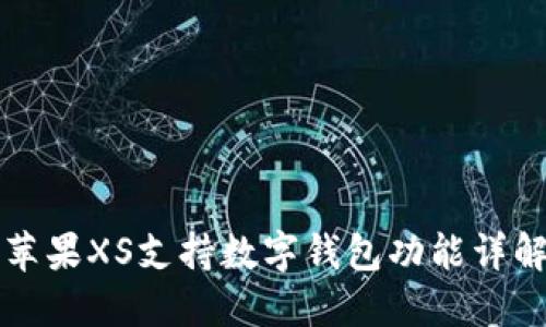 蘋果XS支持?jǐn)?shù)字錢包功能詳解