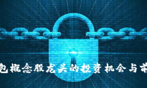 數(shù)字錢包概念股龍頭的投資機會與前景分析