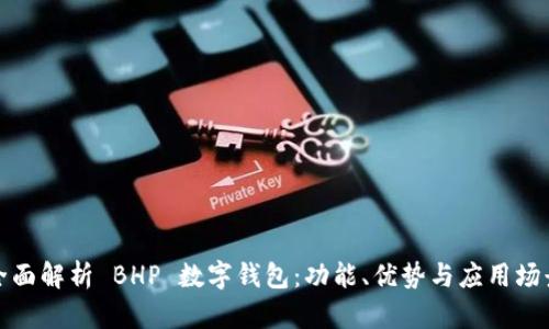 全面解析 BHP 數(shù)字錢包：功能、優(yōu)勢(shì)與應(yīng)用場(chǎng)景