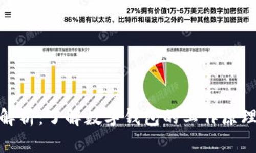 數(shù)字錢包全解析：了解數(shù)字錢包的工作原理與未來趨勢