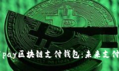全面解析21pay區(qū)塊鏈支付錢