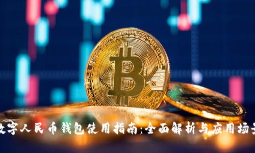 數(shù)字人民幣錢包使用指南：全面解析與應(yīng)用場景