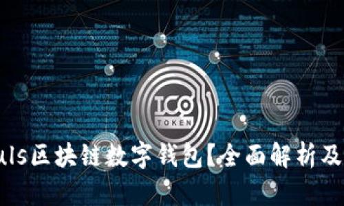 什么是Puls區(qū)塊鏈數(shù)字錢包？全面解析及應(yīng)用前景