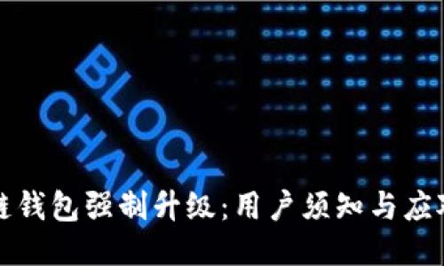 區(qū)塊鏈錢包強(qiáng)制升級：用戶須知與應(yīng)對策略