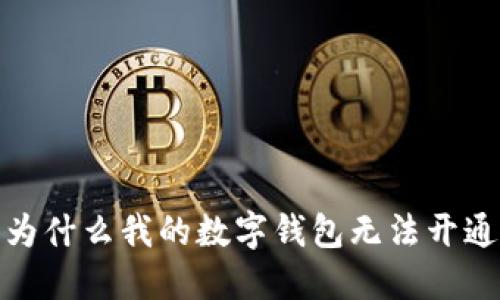 為什么我的數(shù)字錢包無法開通