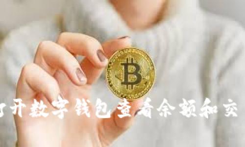 如何打開數(shù)字錢包查看余額和交易記錄