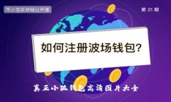 真正小狐錢包高清圖片大