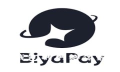 : 數(shù)字錢包的網(wǎng)絡依賴性分
