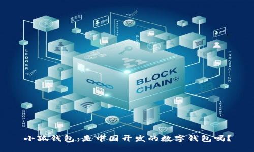 小狐錢包：是中國開發(fā)的數(shù)字錢包嗎？