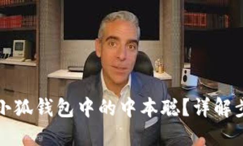如何找回小狐錢包中的中本聰？詳解步驟與技巧