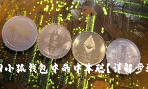 如何找回小狐錢包中的中本聰？詳解步驟與技巧
